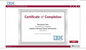 IBM Integrity Partner